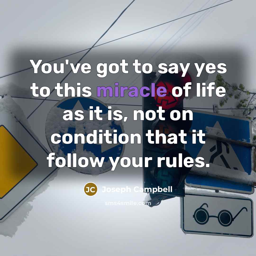 “You've got to say yes to this miracle of life…” quote by Joseph Campbell
