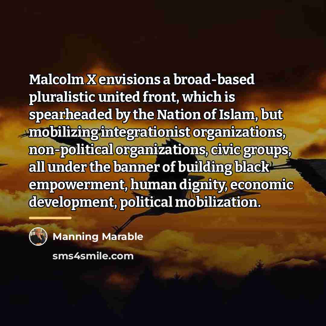 “Malcolm X envisions a broad-based pluralistic united front, which is…” quote by Manning Marable
