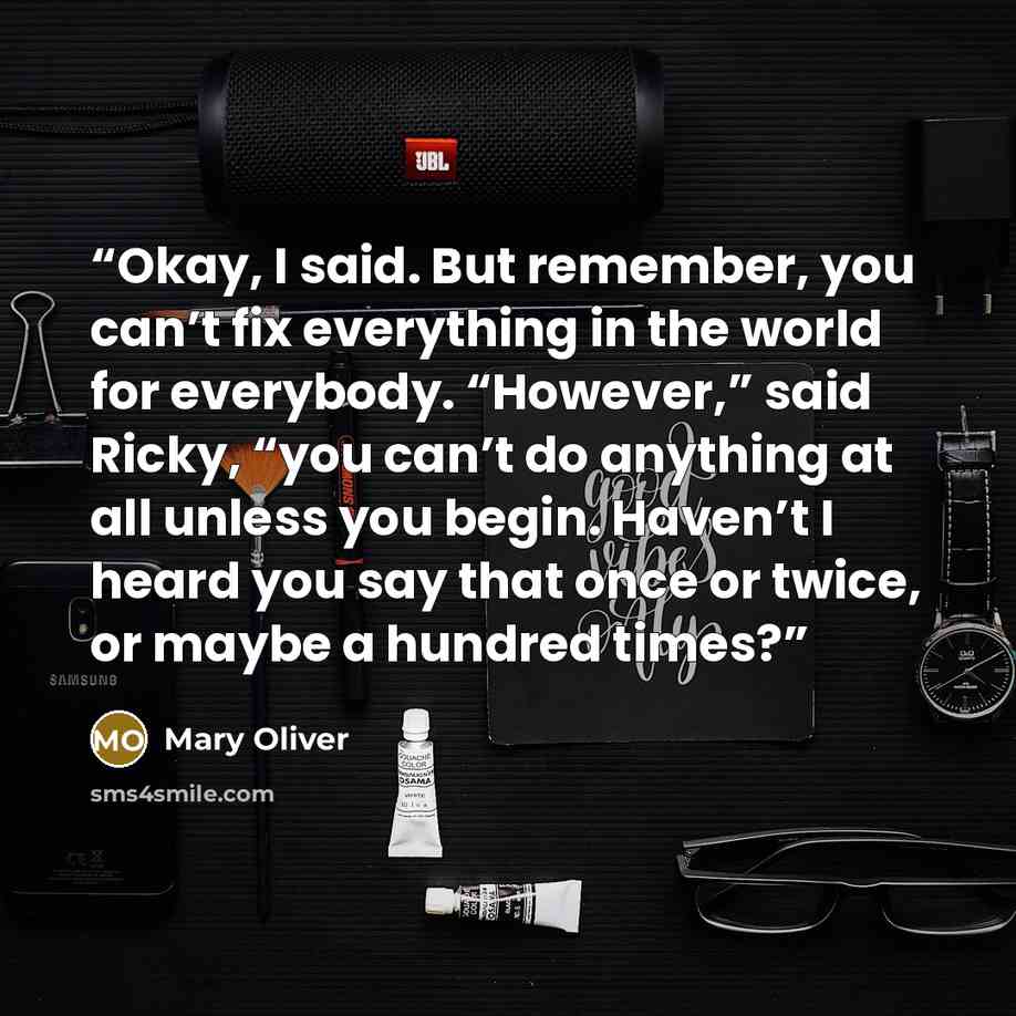 “Okay, I said. But remember, you can’t fix everything in the world for everybody. “However,” said Ricky, “you can’t do anything at all unless you begin. Haven’t I heard you say that once or twice, or maybe a hundred times?” quote by Mary Oliver