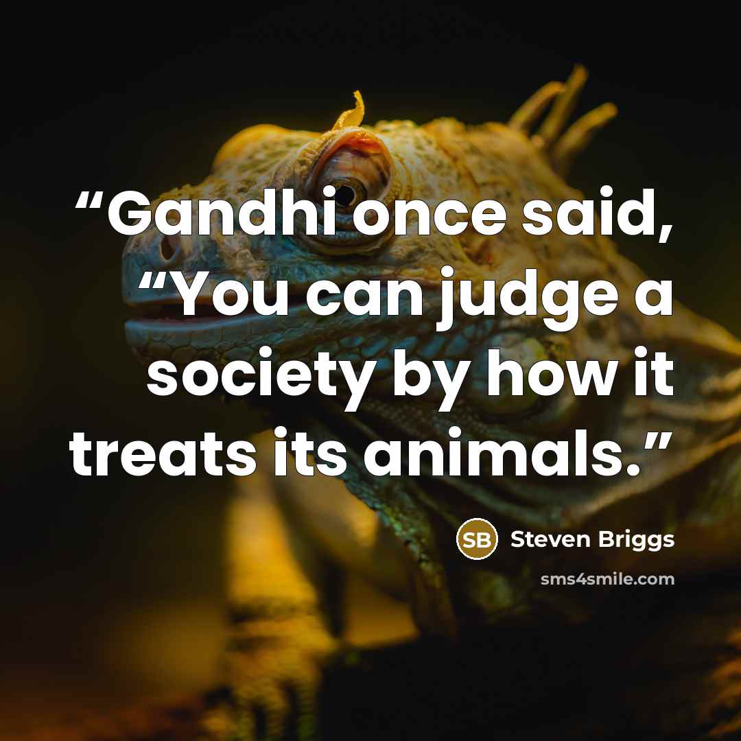 “Gandhi once said, “You can judge a society by how it treats its animals.” quote by Steven Briggs