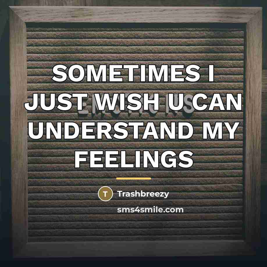 “SOMETIMES I JUST WISH U CAN UNDERSTAND MY FEELINGS…” quote by Trashbreezy