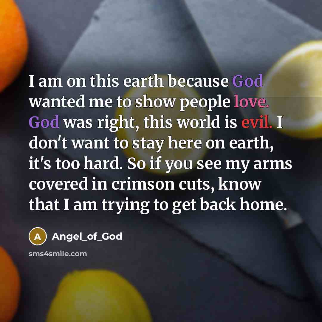 “I am on this earth because God wanted me to…” quote by Angel_of_God