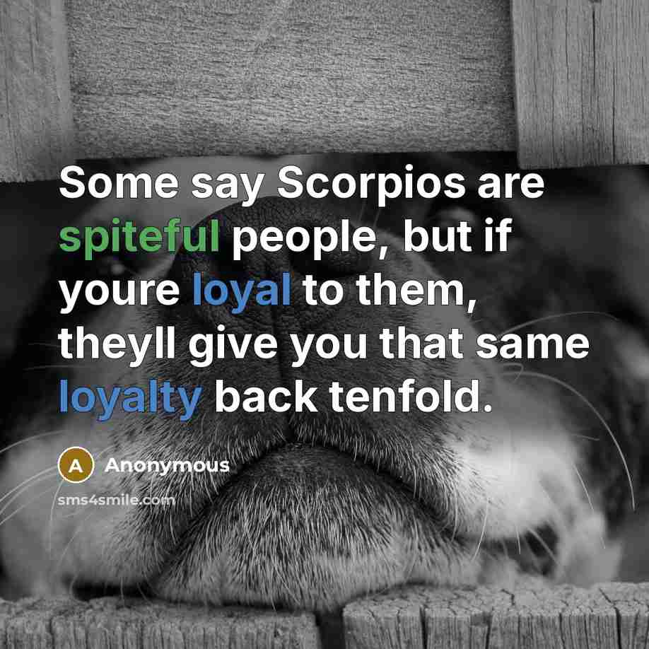 “Some say Scorpios are spiteful people, but if youre loyal to them, theyll give you that same loyalty back tenfold.” quote by Anonymous
