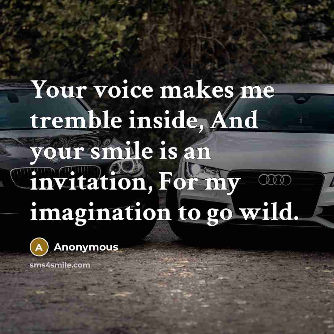 “Your voice makes me tremble inside, And your smile is an invitation, For my imagination to go wild.” quote by Anonymous