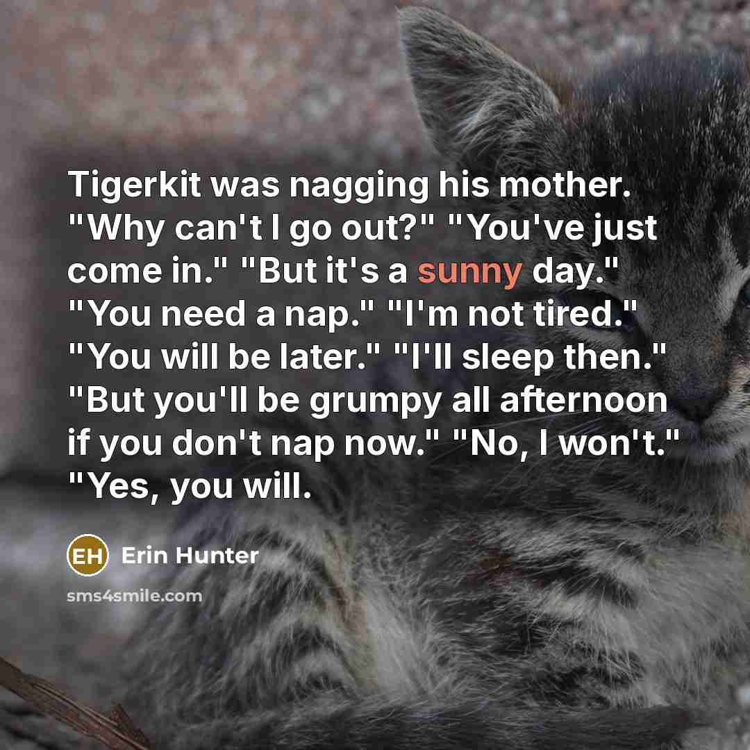 “Tigerkit was nagging his mother. "Why can't I go out?"…” quote by Erin Hunter