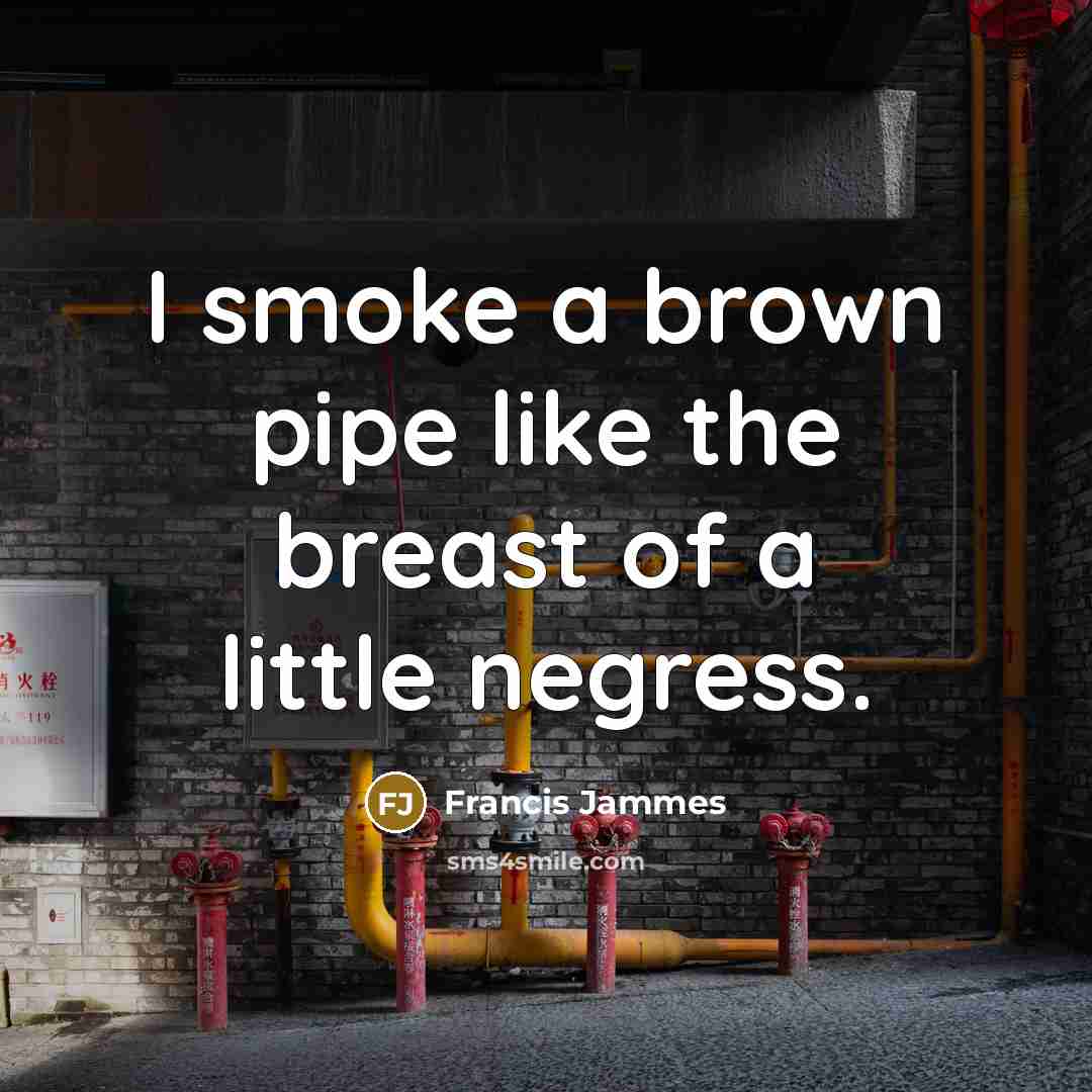“I smoke a brown pipe like the breast of a little negress.” quote by Francis Jammes