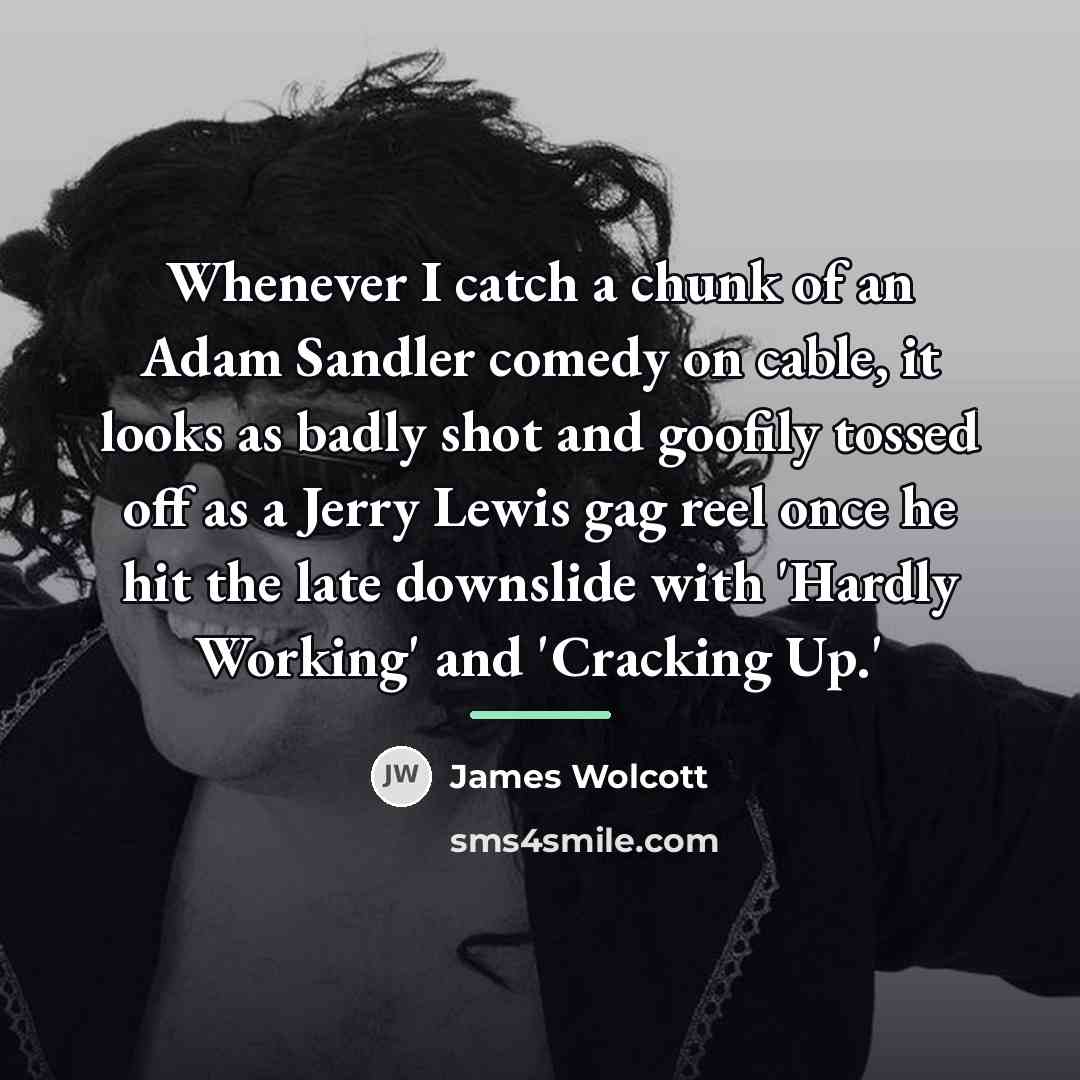 “Whenever I catch a chunk of an Adam Sandler comedy…” quote by James Wolcott