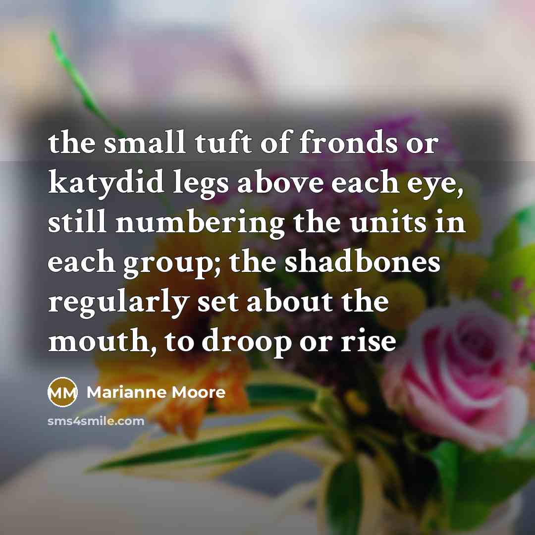 “the small tuft of fronds or katydid legs above each…” quote by Marianne Moore