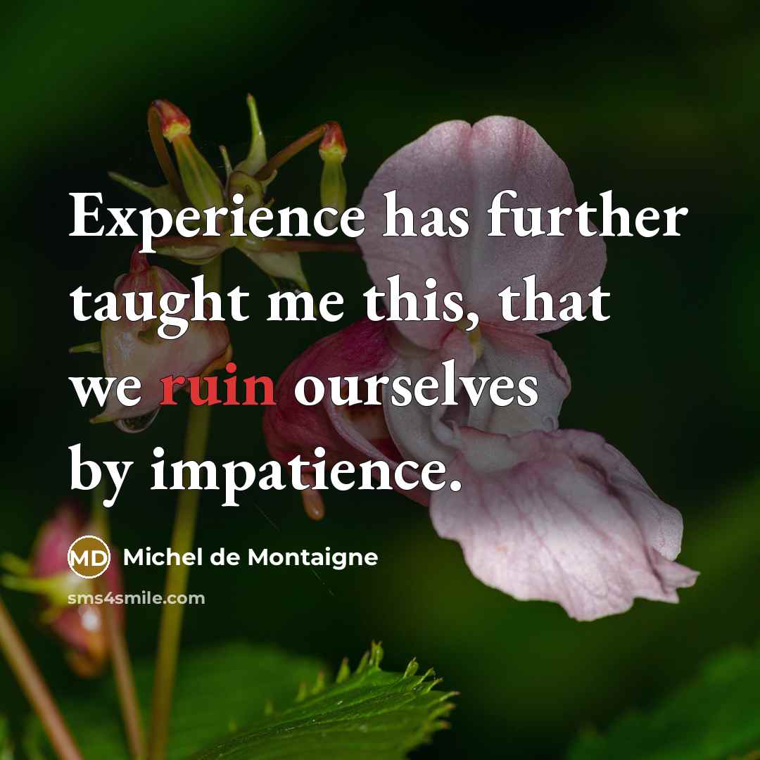 “Experience has further taught me this, that we ruin ourselves…” quote by Michel de Montaigne