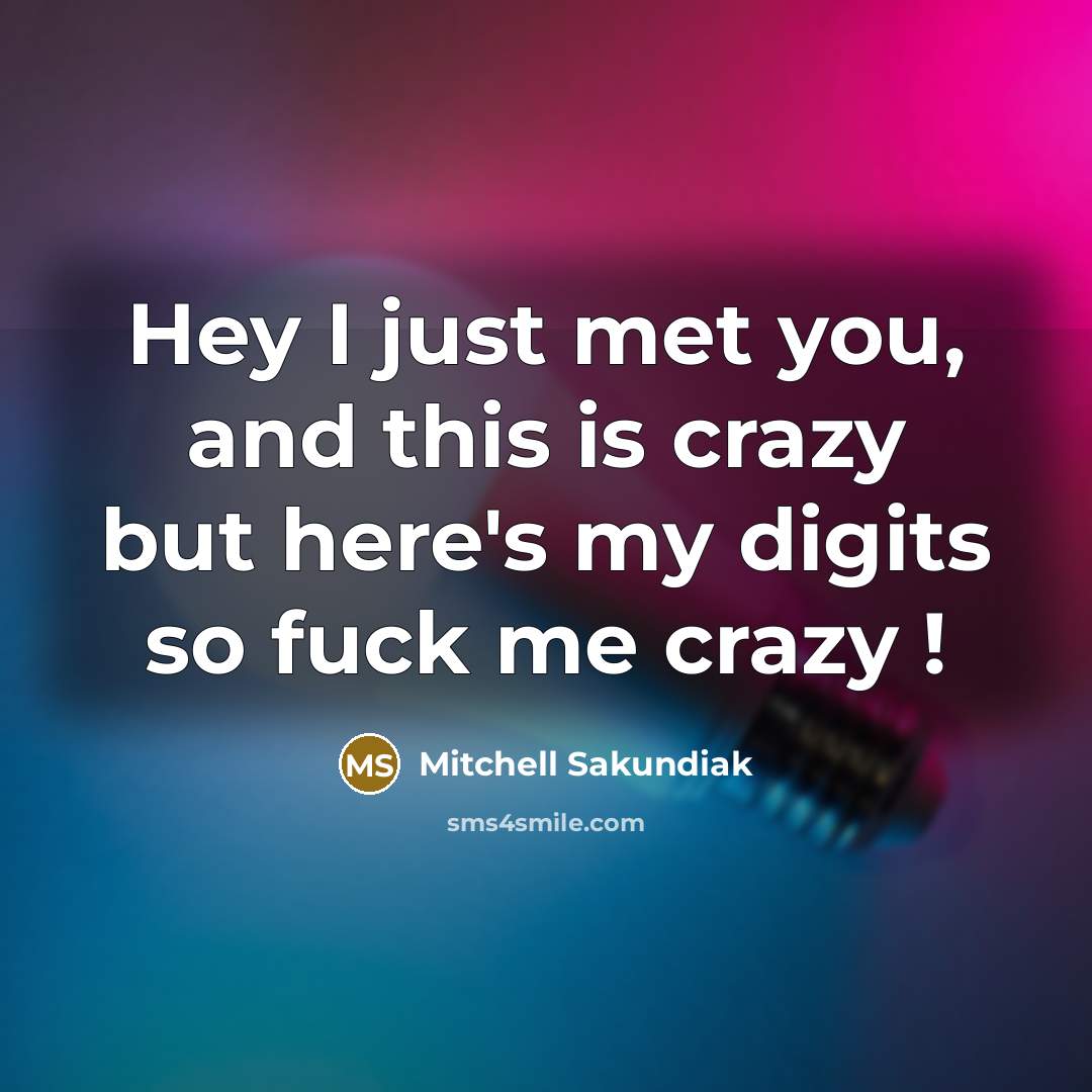 “Hey I just met you, and this is crazy but…” quote by Mitchell Sakundiak