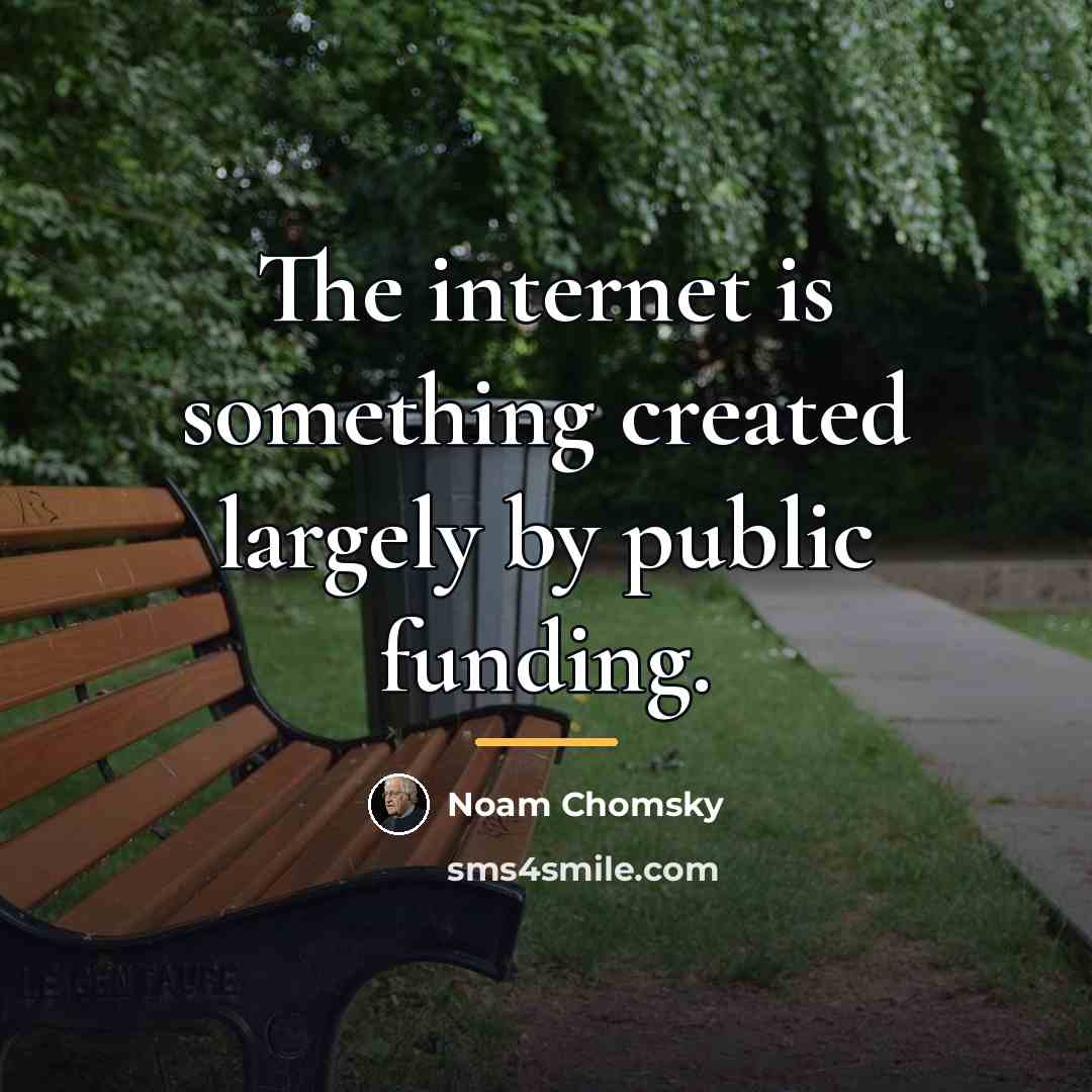 “The internet is something created largely by public funding.…” quote by Noam Chomsky