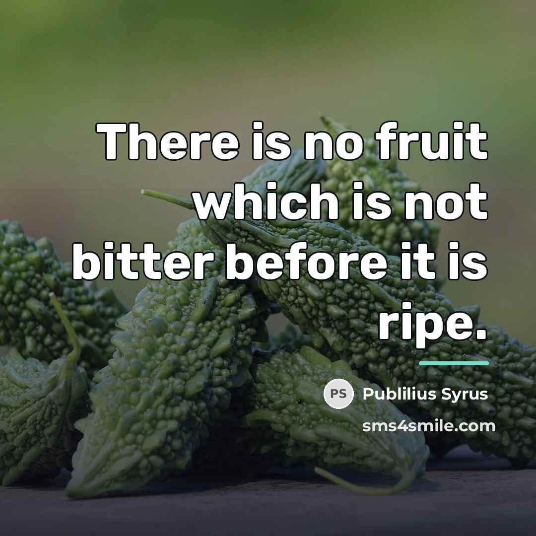 “There is no fruit which is not bitter before it…” quote by Publilius Syrus