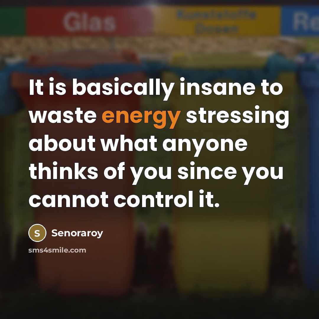 “It is basically insane to waste energy stressing about what…” quote by Senoraroy