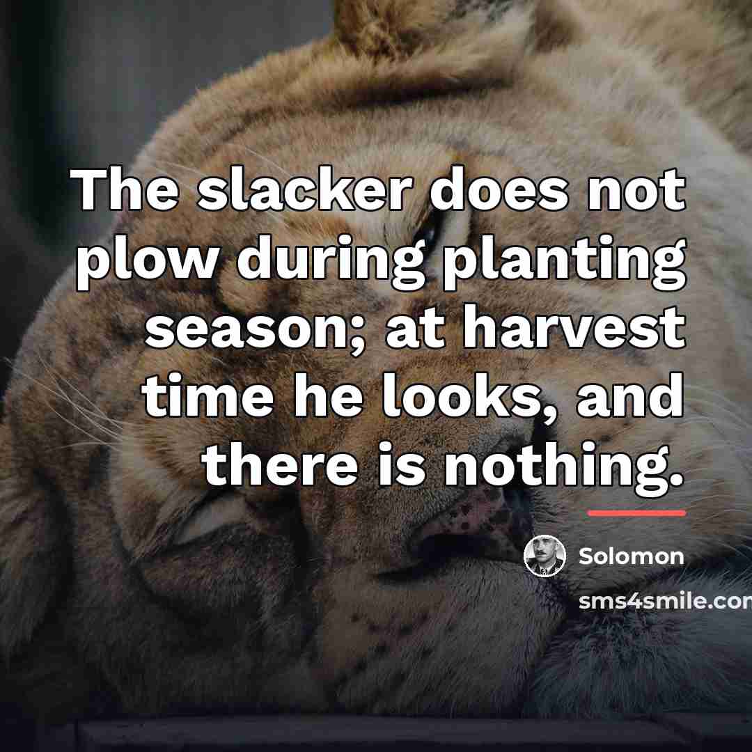 “The slacker does not plow during planting season; at harvest…” quote by Solomon