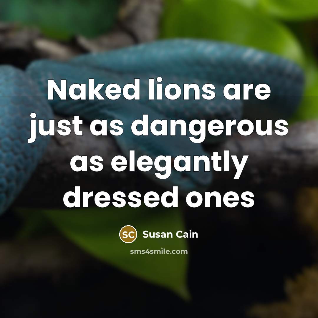 “Naked lions are just as dangerous as elegantly dressed ones…” quote by Susan Cain