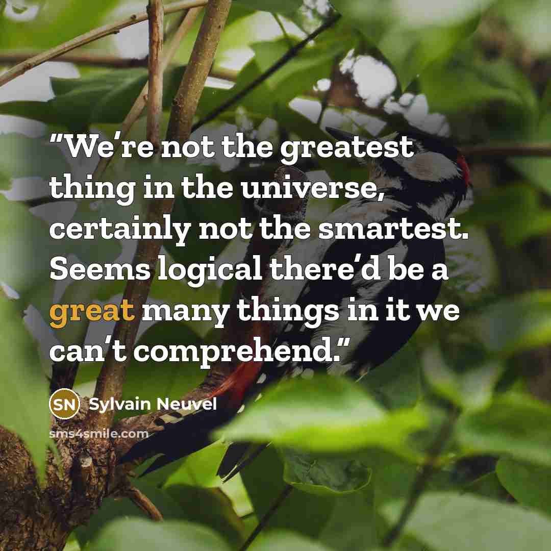 “We’re not the greatest thing in the universe, certainly not the smartest. Seems logical there’d be a great many things in it we can’t comprehend.” quote by Sylvain Neuvel