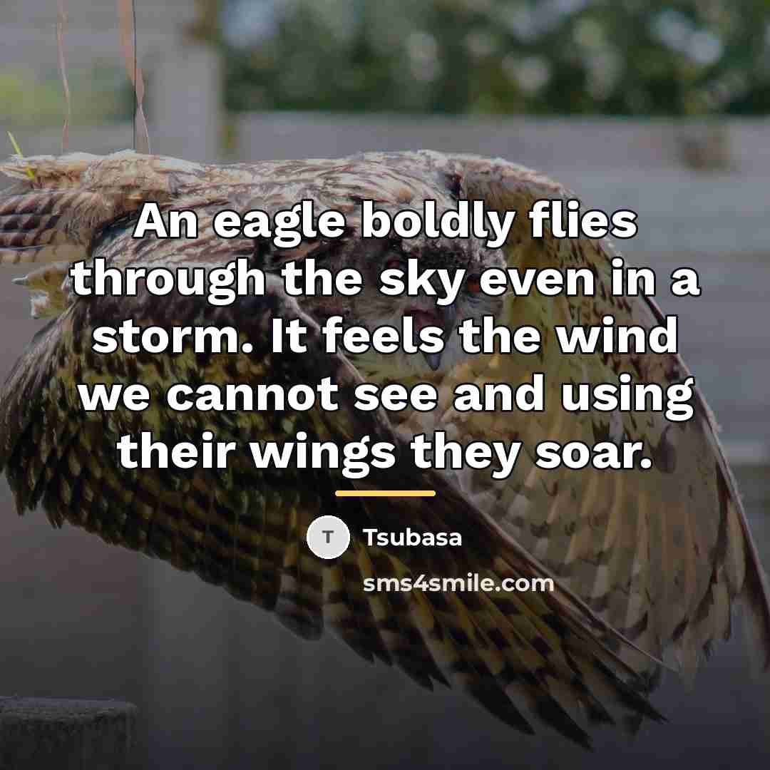 “An eagle boldly flies through the sky even in a…” quote by Tsubasa