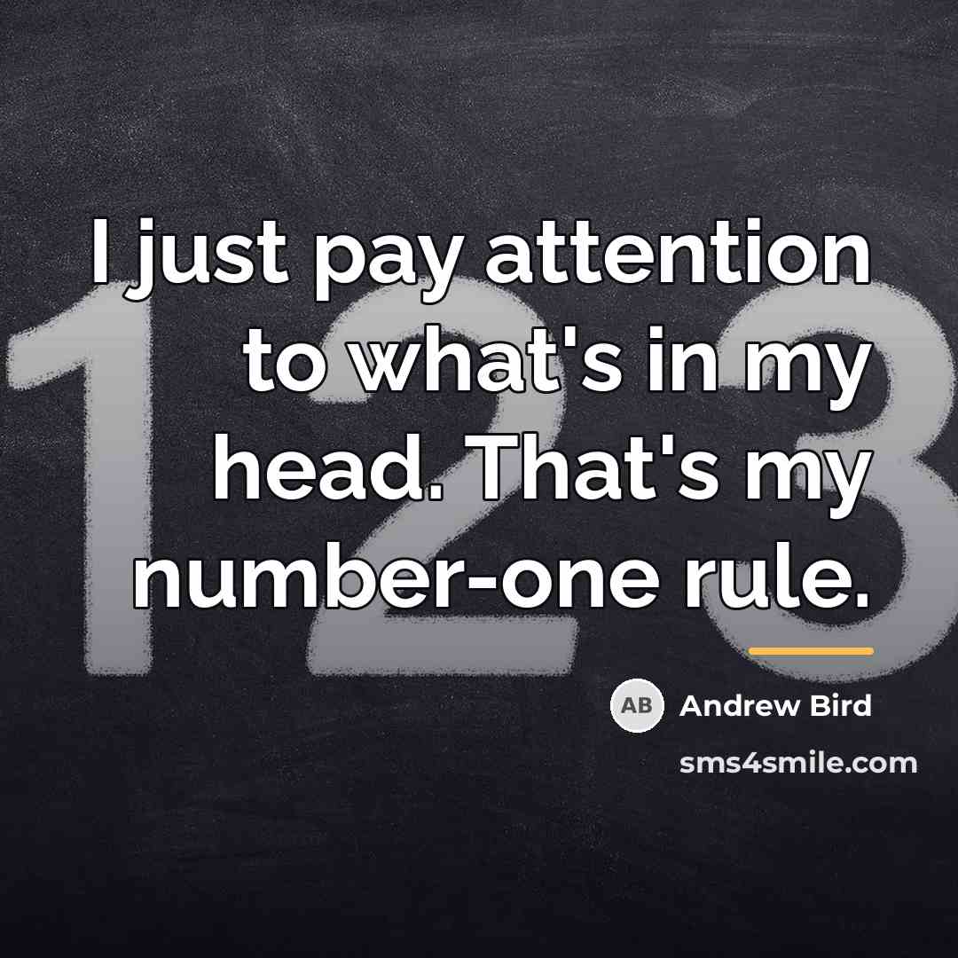 “I just pay attention to what's in my head. That's…” quote by Andrew Bird