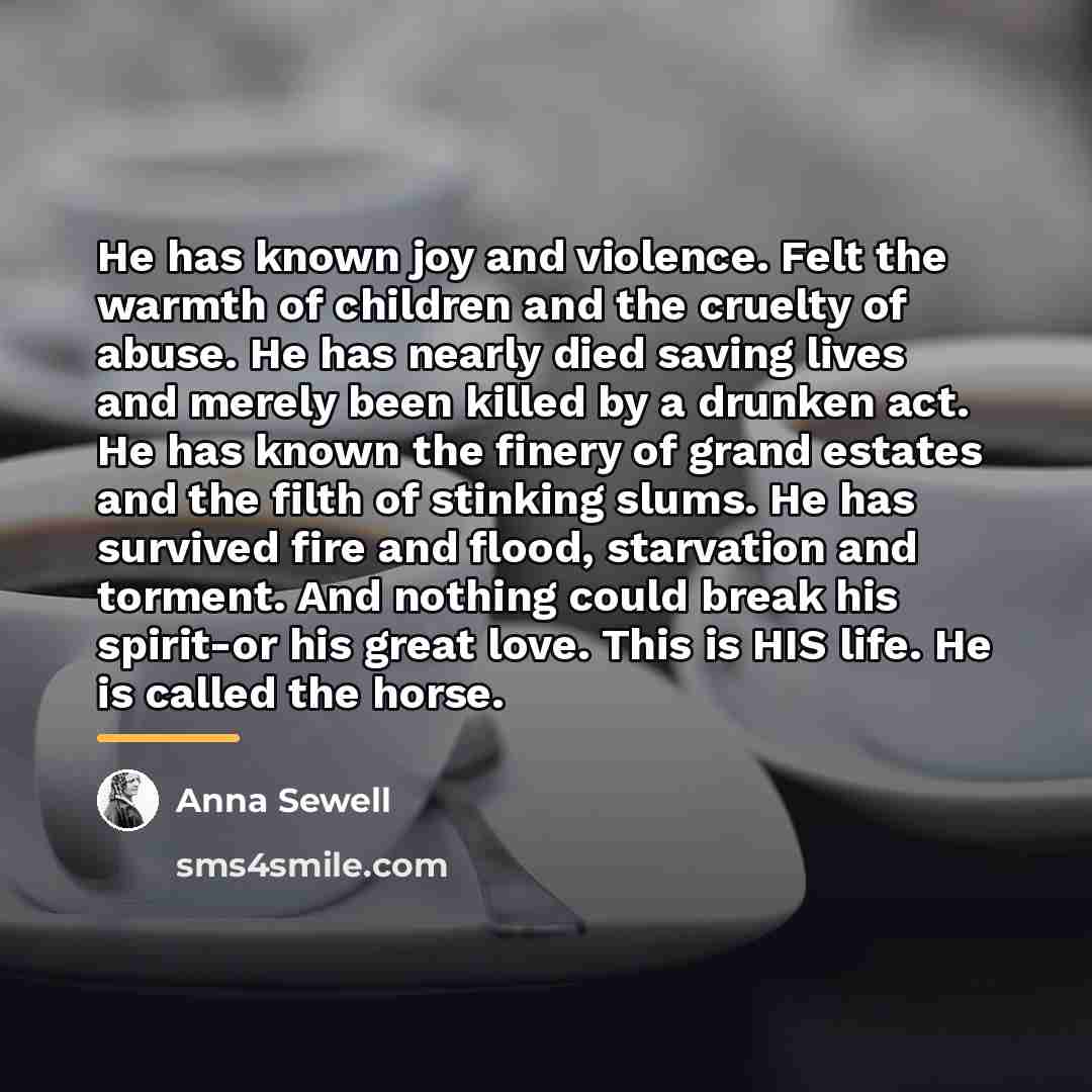 “He has known joy and violence. Felt the warmth of…” quote by Anna Sewell