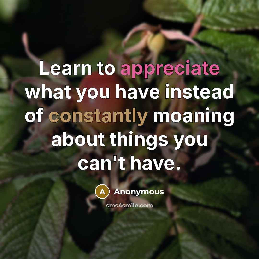 “Learn to appreciate what you have instead of constantly moaning about things you can't have.” quote by Anonymous