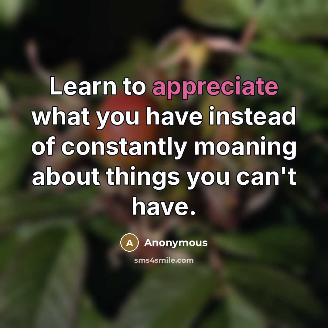 “Learn to appreciate what you have instead of constantly moaning…” quote by Anonymous