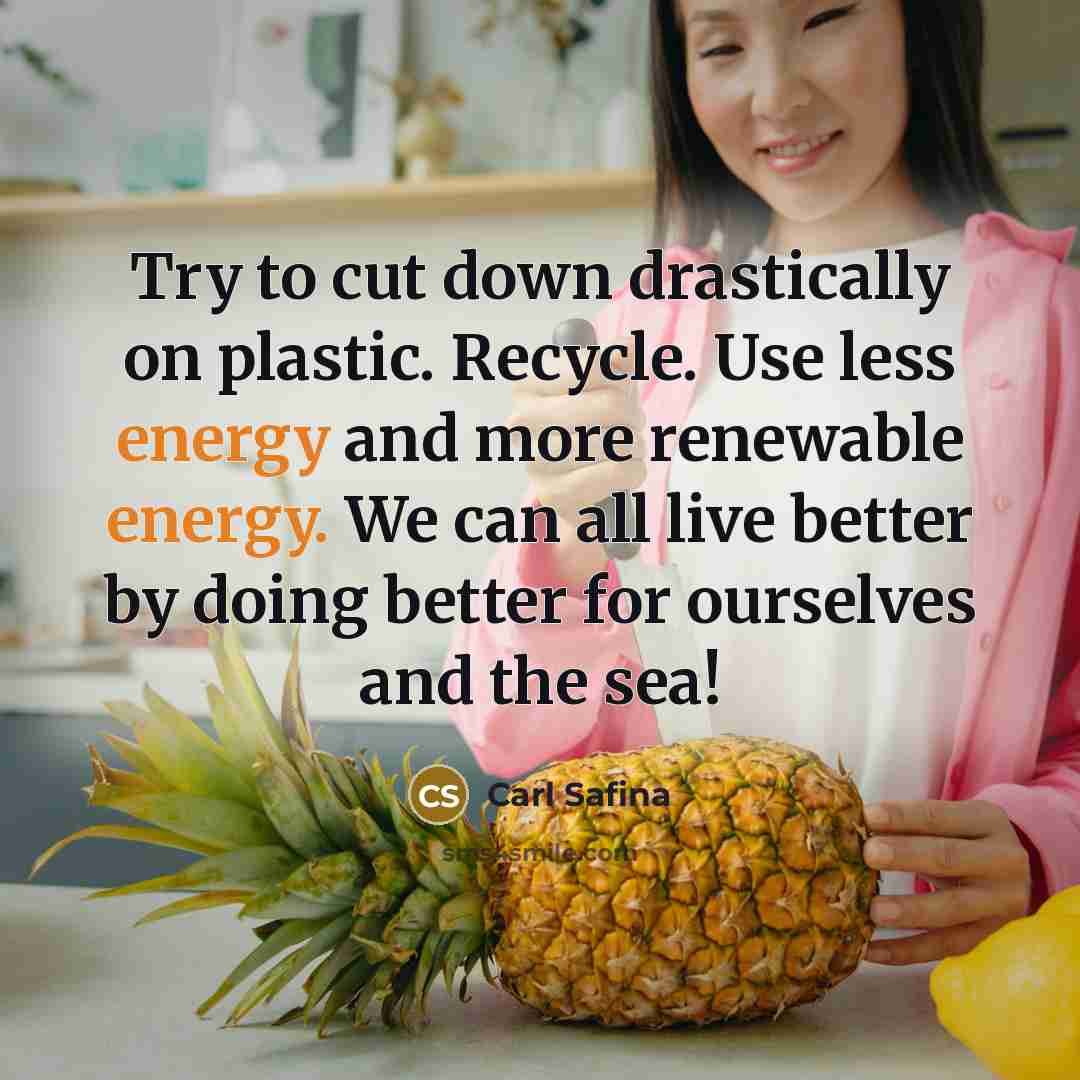 “Try to cut down drastically on plastic. Recycle. Use less…” quote by Carl Safina
