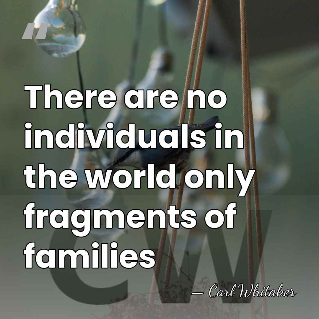 There are no individuals in the world only fragments of families - Carl Whitaker