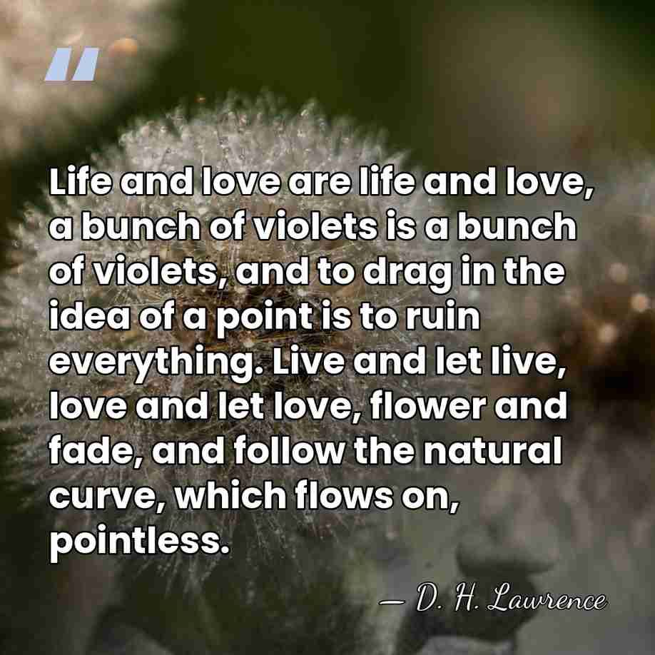 Life and love are life and love, a bunch of violets is&hellip; - D. H. Lawrence