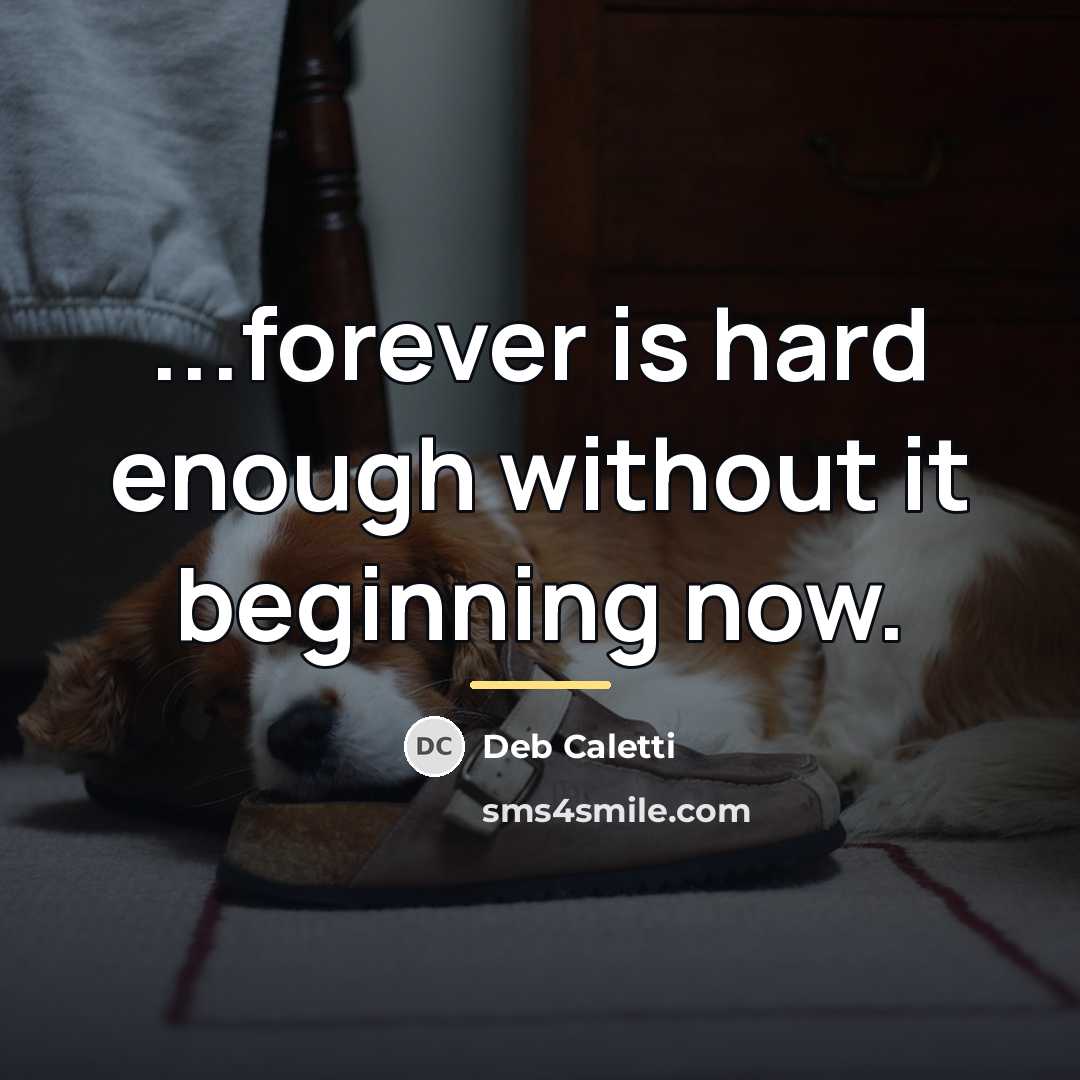 “...forever is hard enough without it beginning now.…” quote by Deb Caletti