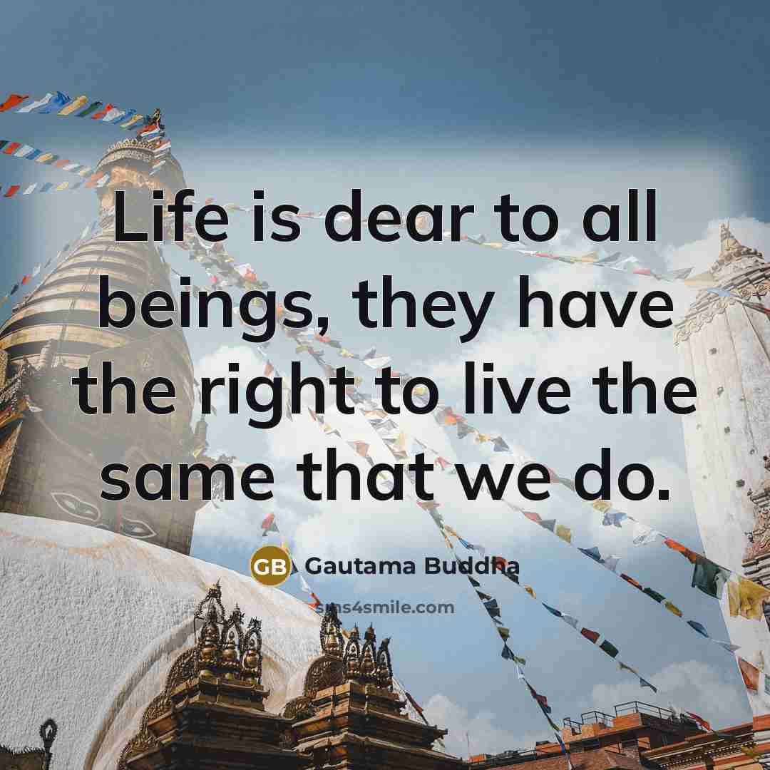 “Life is dear to all beings, they have the right…” quote by Gautama Buddha
