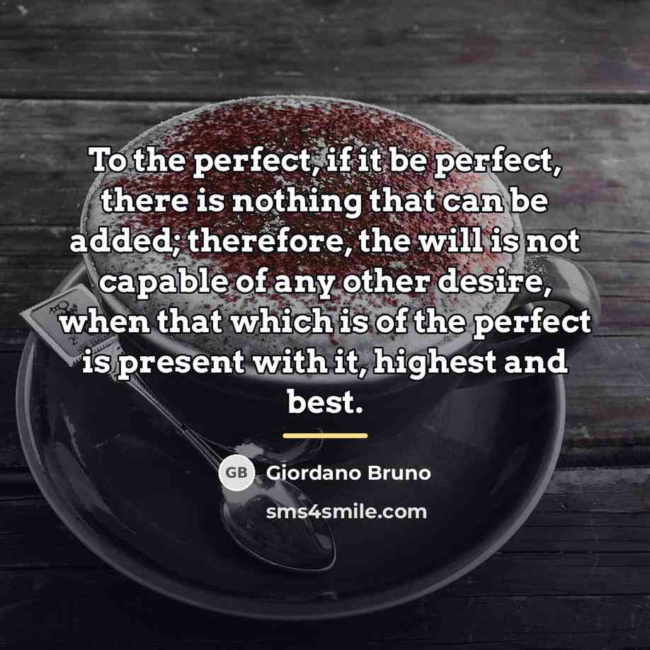 “To the perfect, if it be perfect, there is nothing…” quote by Giordano Bruno