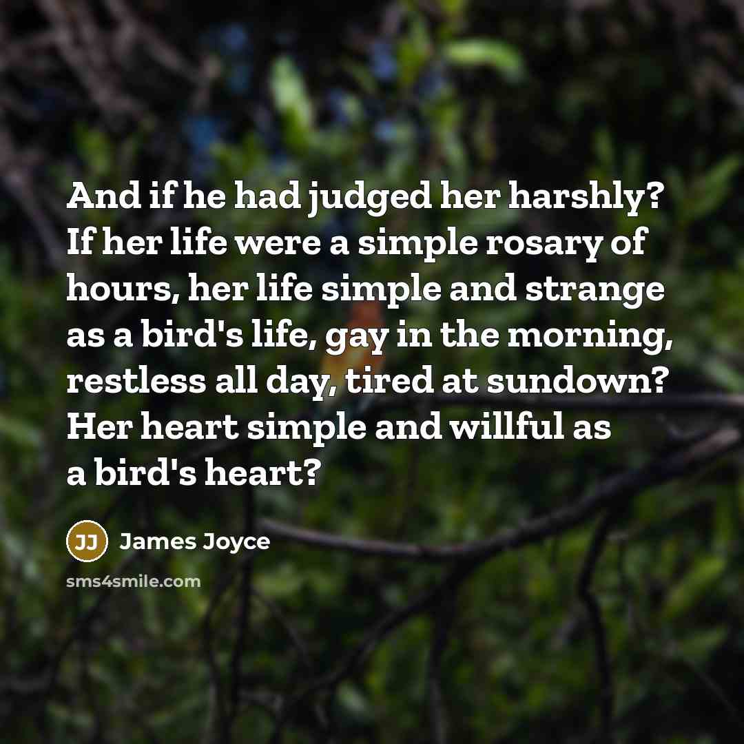“And if he had judged her harshly? If her life…” quote by James Joyce