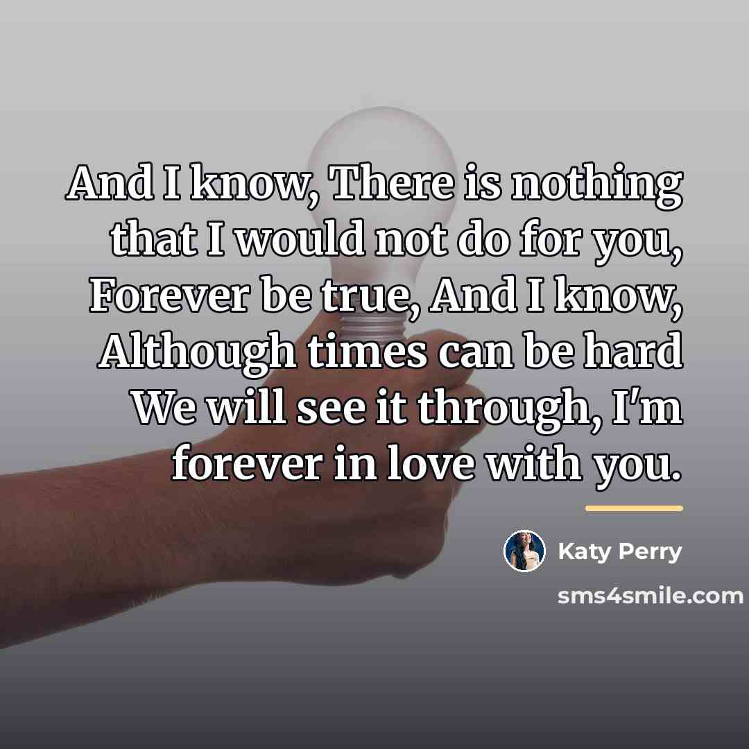 “And I know, There is nothing that I would not…” quote by Katy Perry