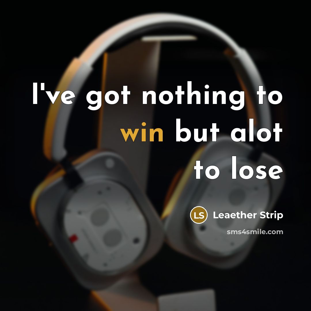 “I've got nothing to win but alot to lose…” quote by Leaether Strip