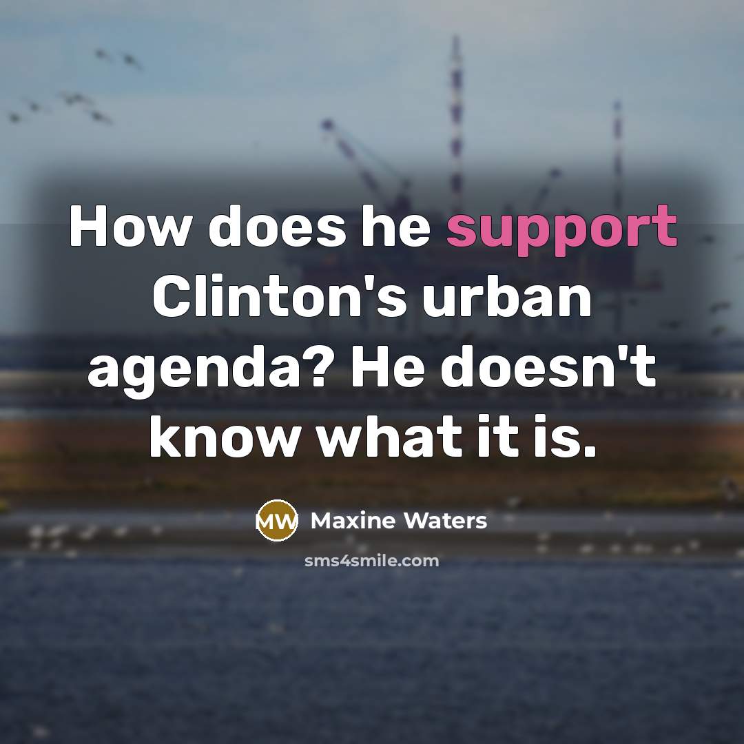 “How does he support Clinton's urban agenda? He doesn't know…” quote by Maxine Waters
