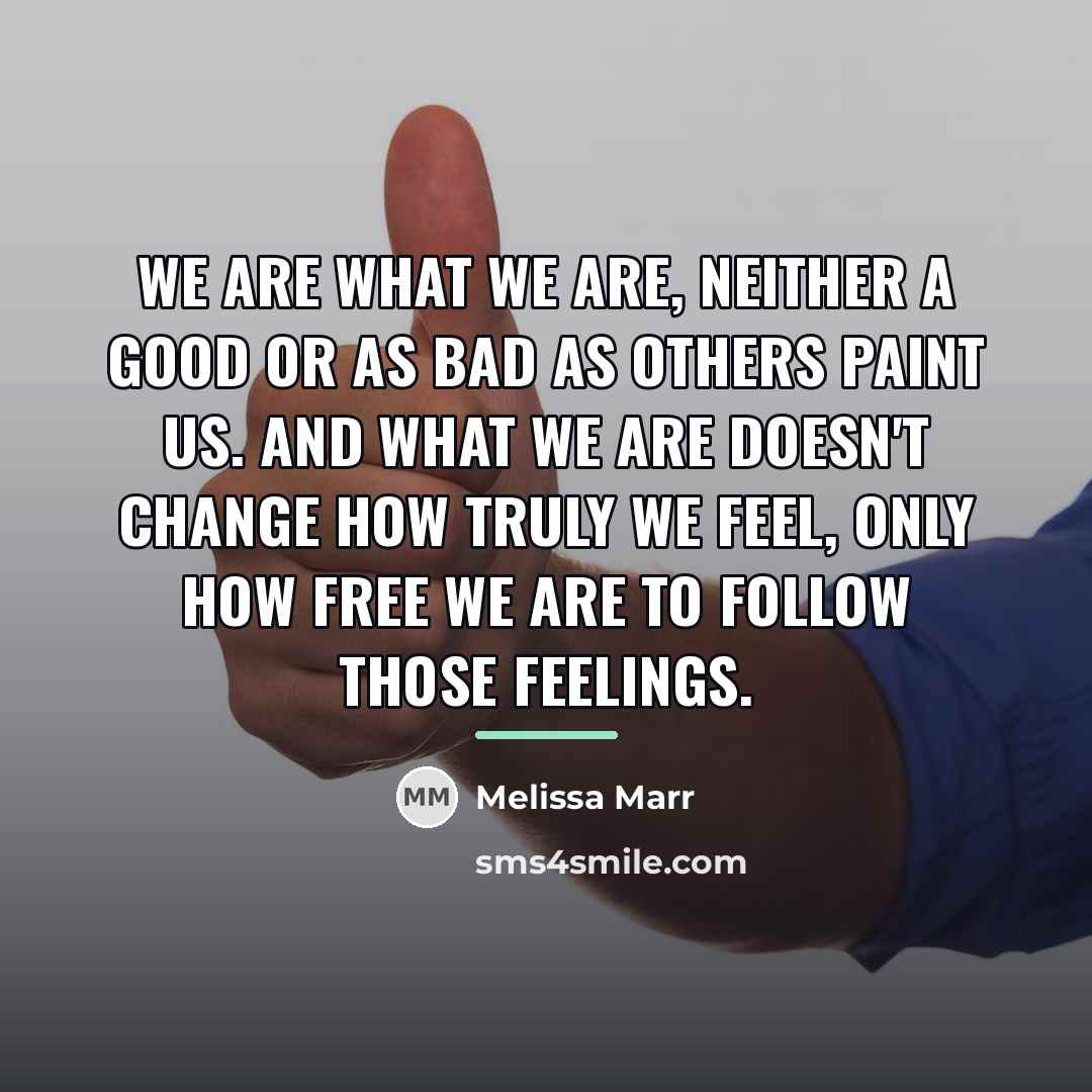 “We are what we are, neither a good or as…” quote by Melissa Marr