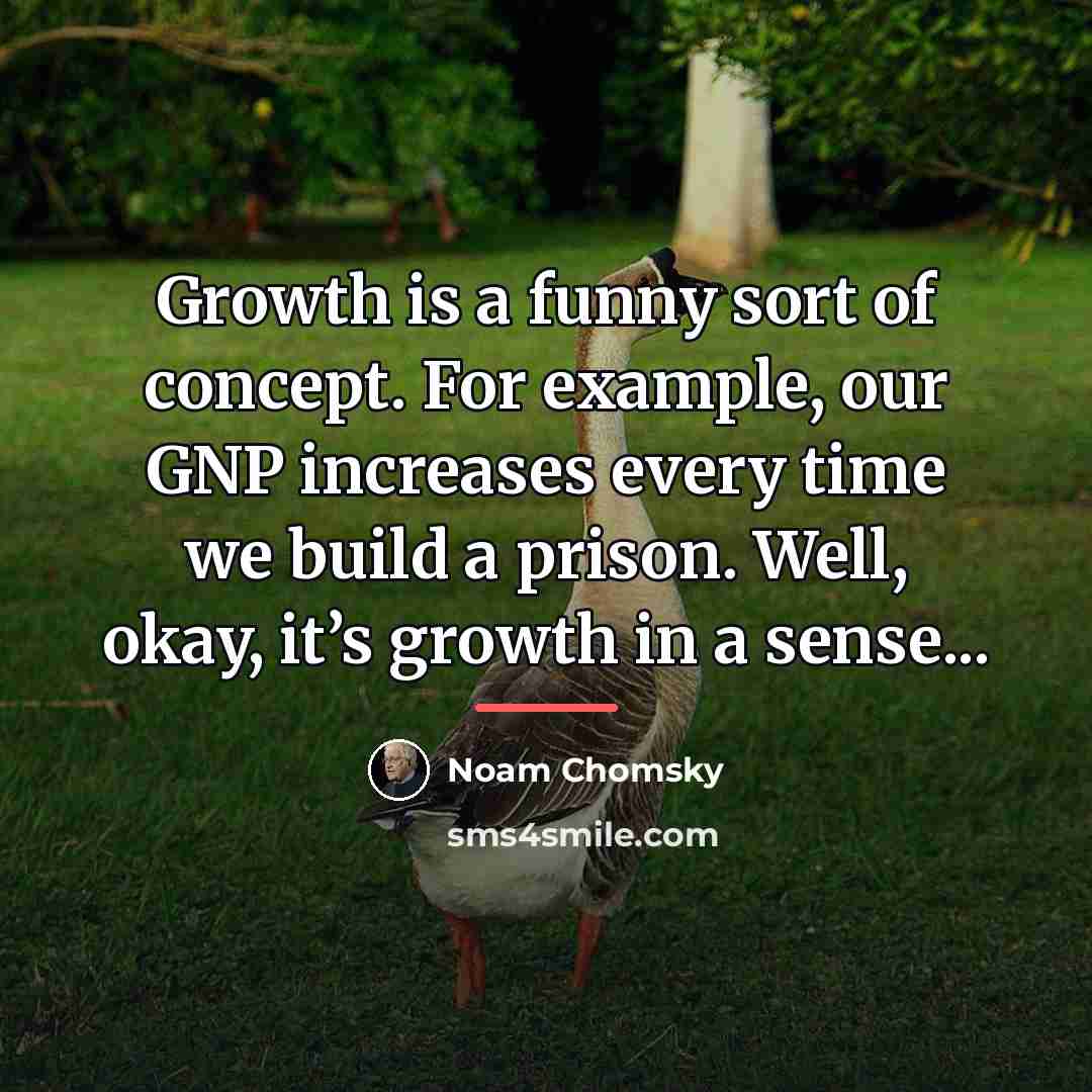 “Growth is a funny sort of concept. For example, our…” quote by Noam Chomsky