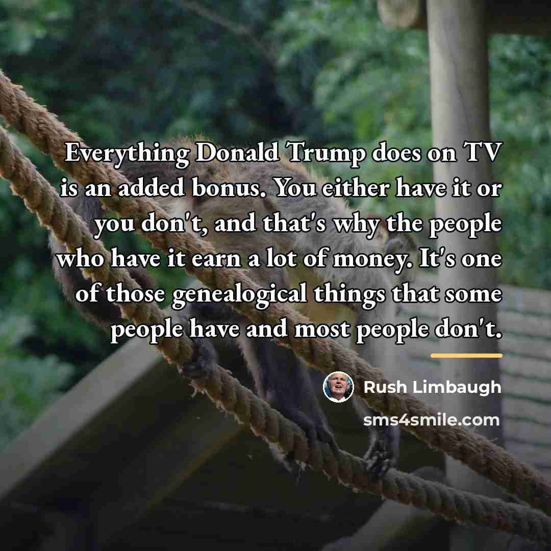 “Everything Donald Trump does on TV is an added bonus.…” quote by Rush Limbaugh