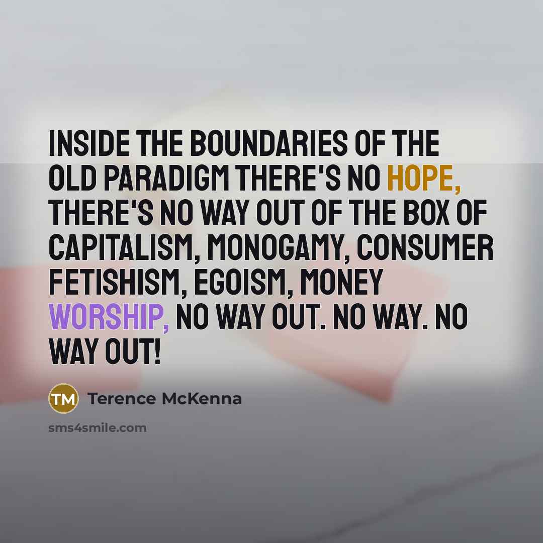 “Inside the boundaries of the old paradigm there's no hope,…” quote by Terence McKenna
