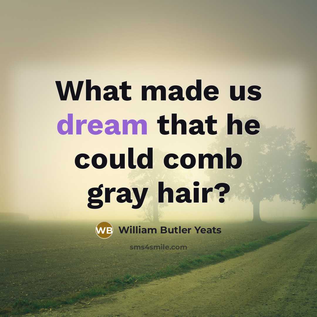 “What made us dream that he could comb gray hair?…” quote by William Butler Yeats