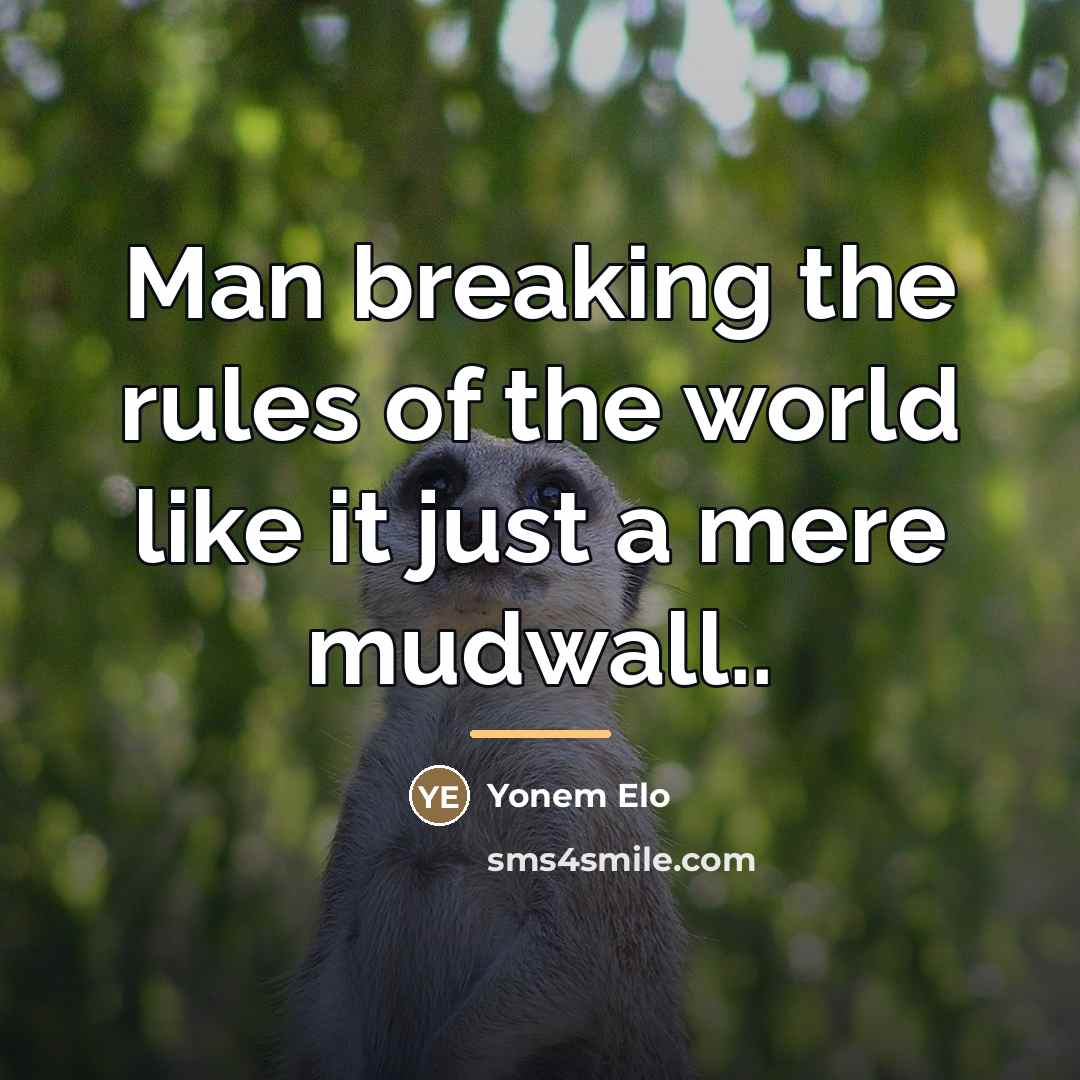 “Man breaking the rules of the world like it just…” quote by Yonem Elo