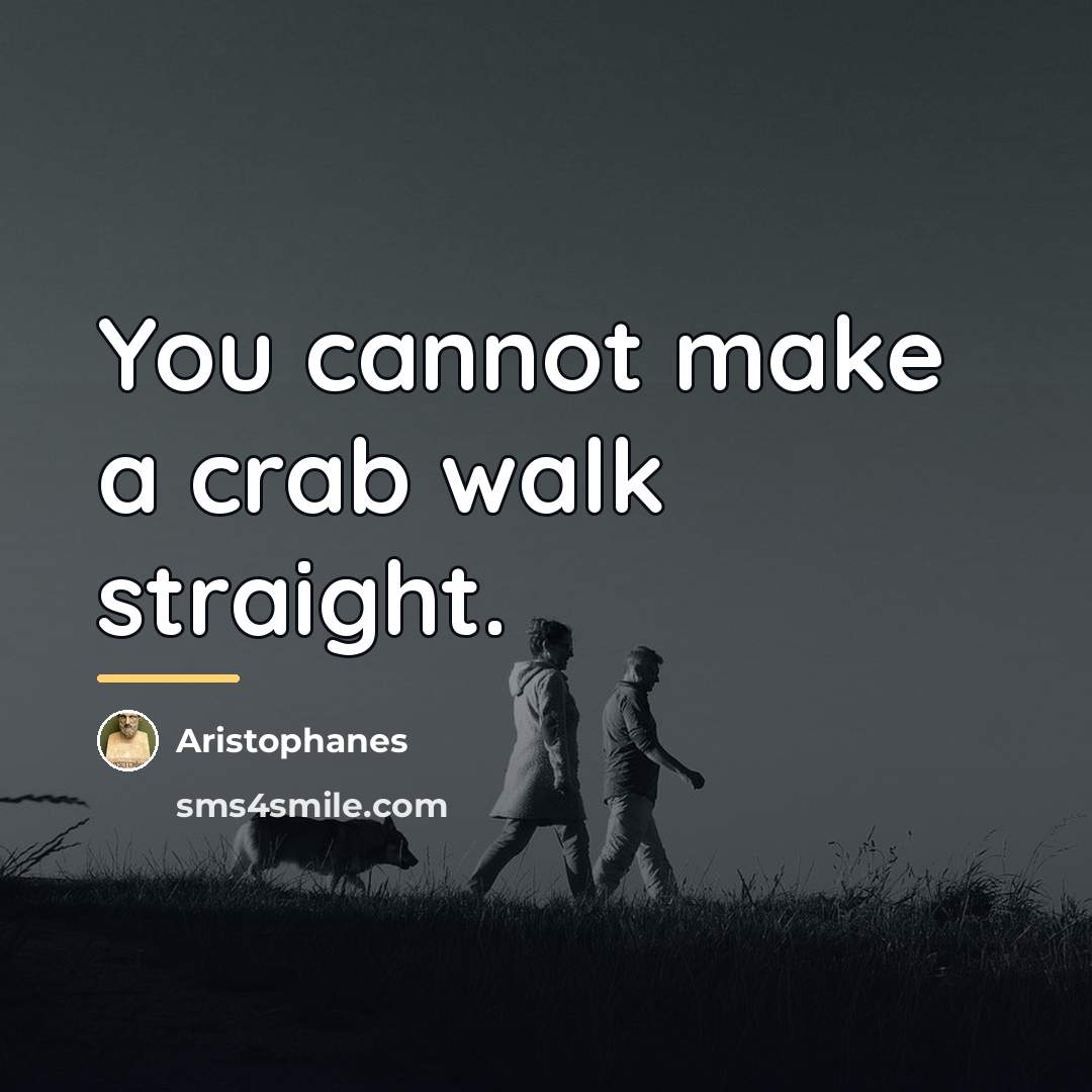“You cannot make a crab walk straight.…” quote by Aristophanes