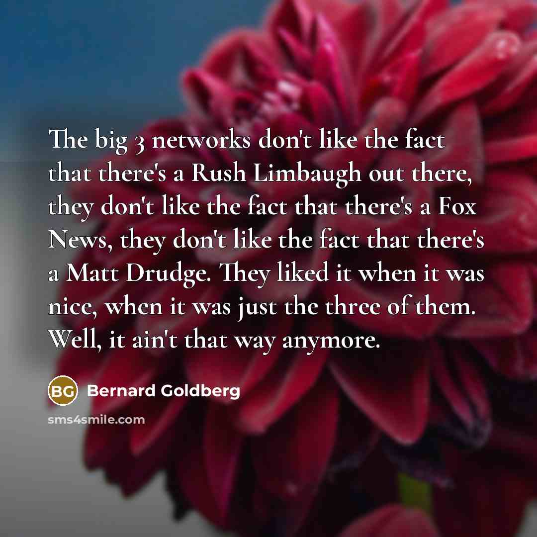 “The big 3 networks don't like the fact that there's…” quote by Bernard Goldberg