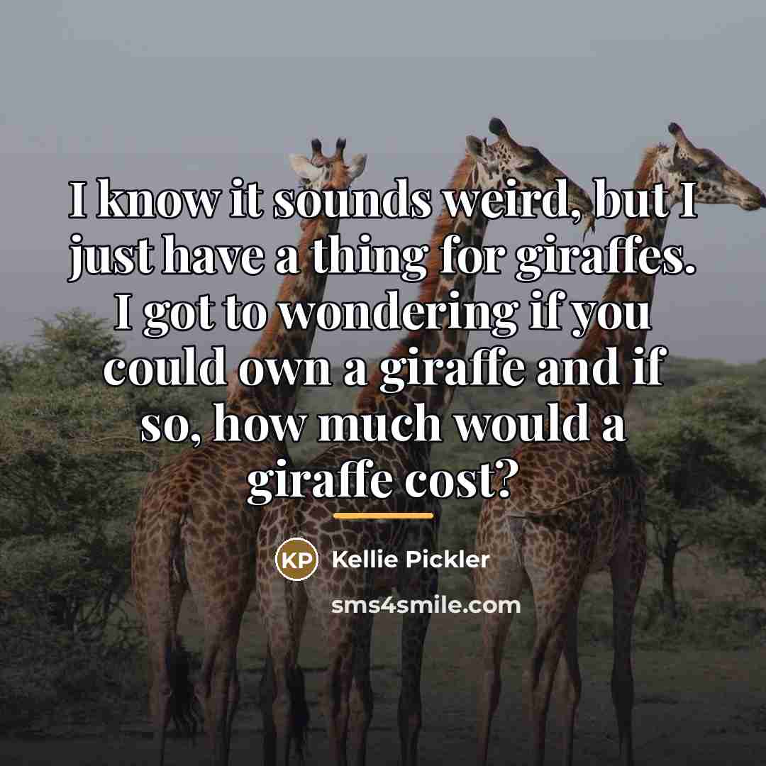 “I know it sounds weird, but I just have a…” quote by Kellie Pickler