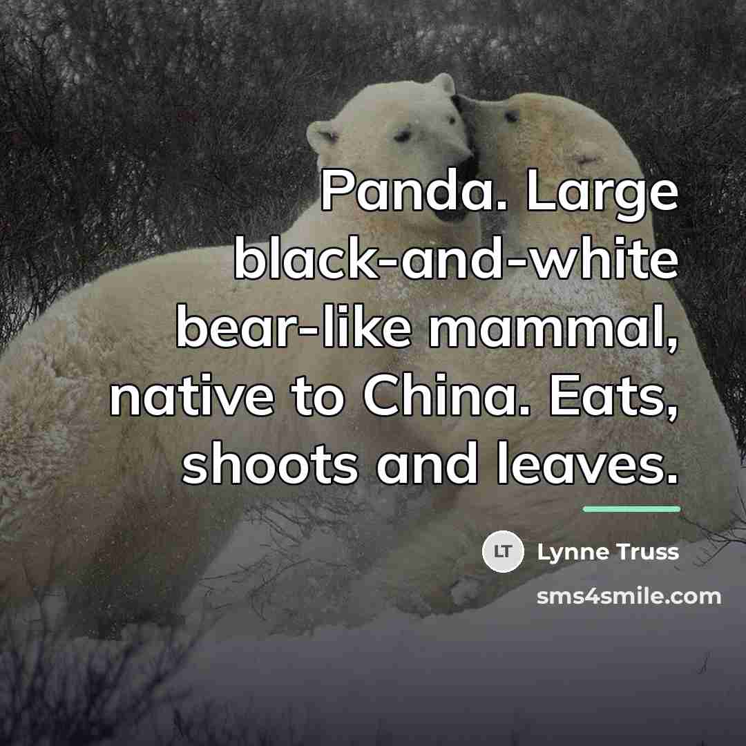 “Panda. Large black-and-white bear-like mammal, native to China. Eats, shoots…” quote by Lynne Truss