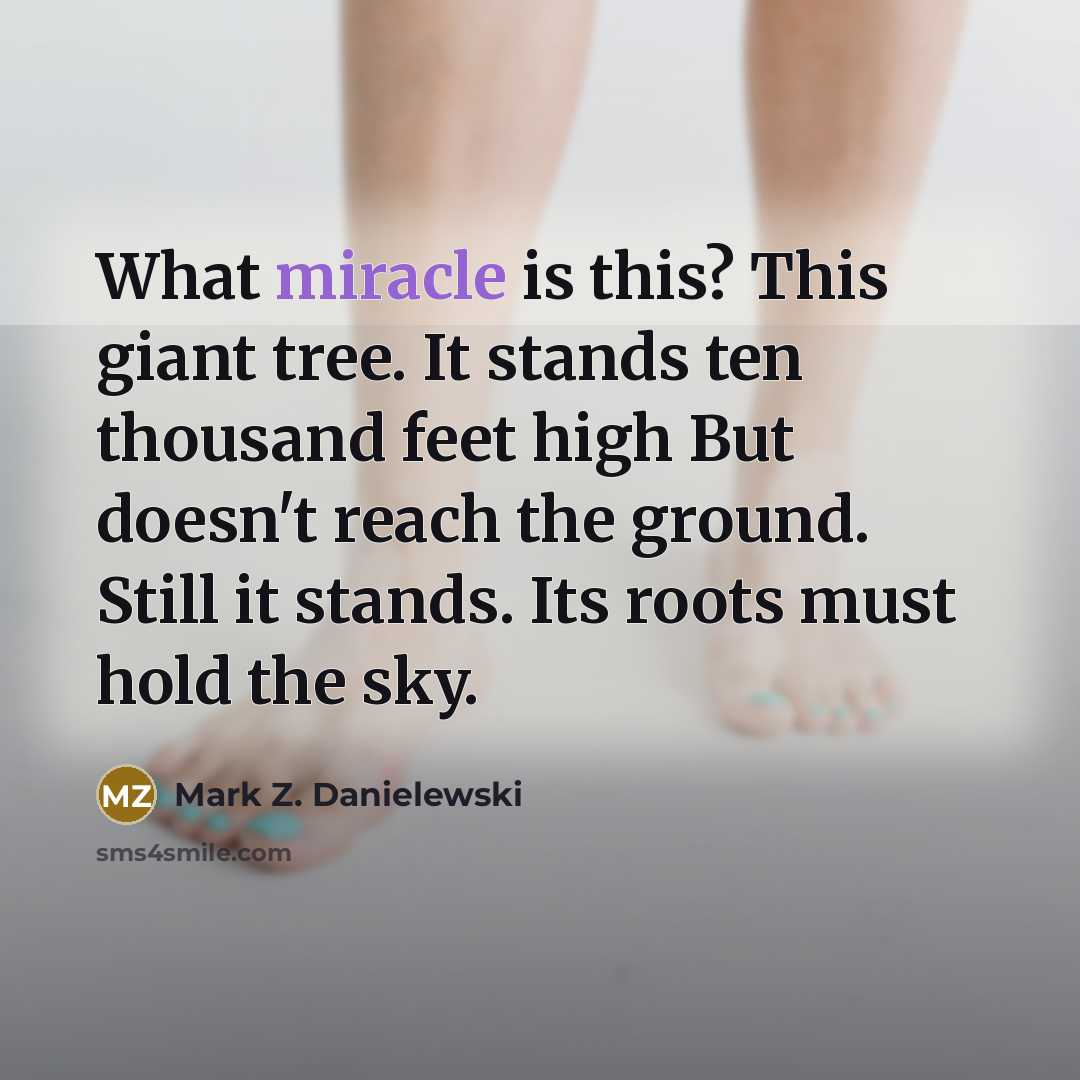 “What miracle is this? This giant tree. It stands ten…” quote by Mark Z. Danielewski