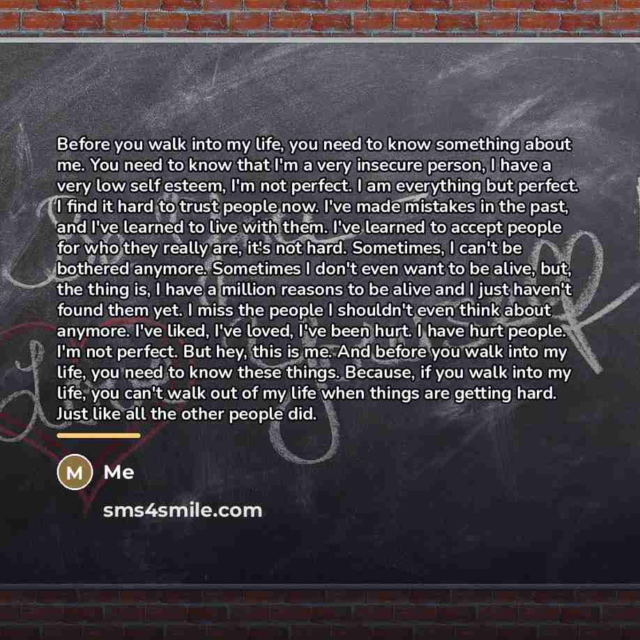 “Before you walk into my life, you need to know…” quote by Me