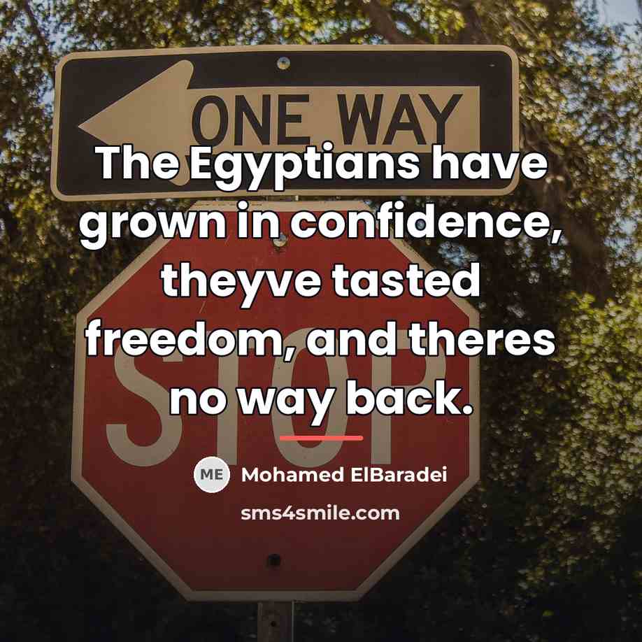 “The Egyptians have grown in confidence, theyve tasted freedom, and…” quote by Mohamed ElBaradei