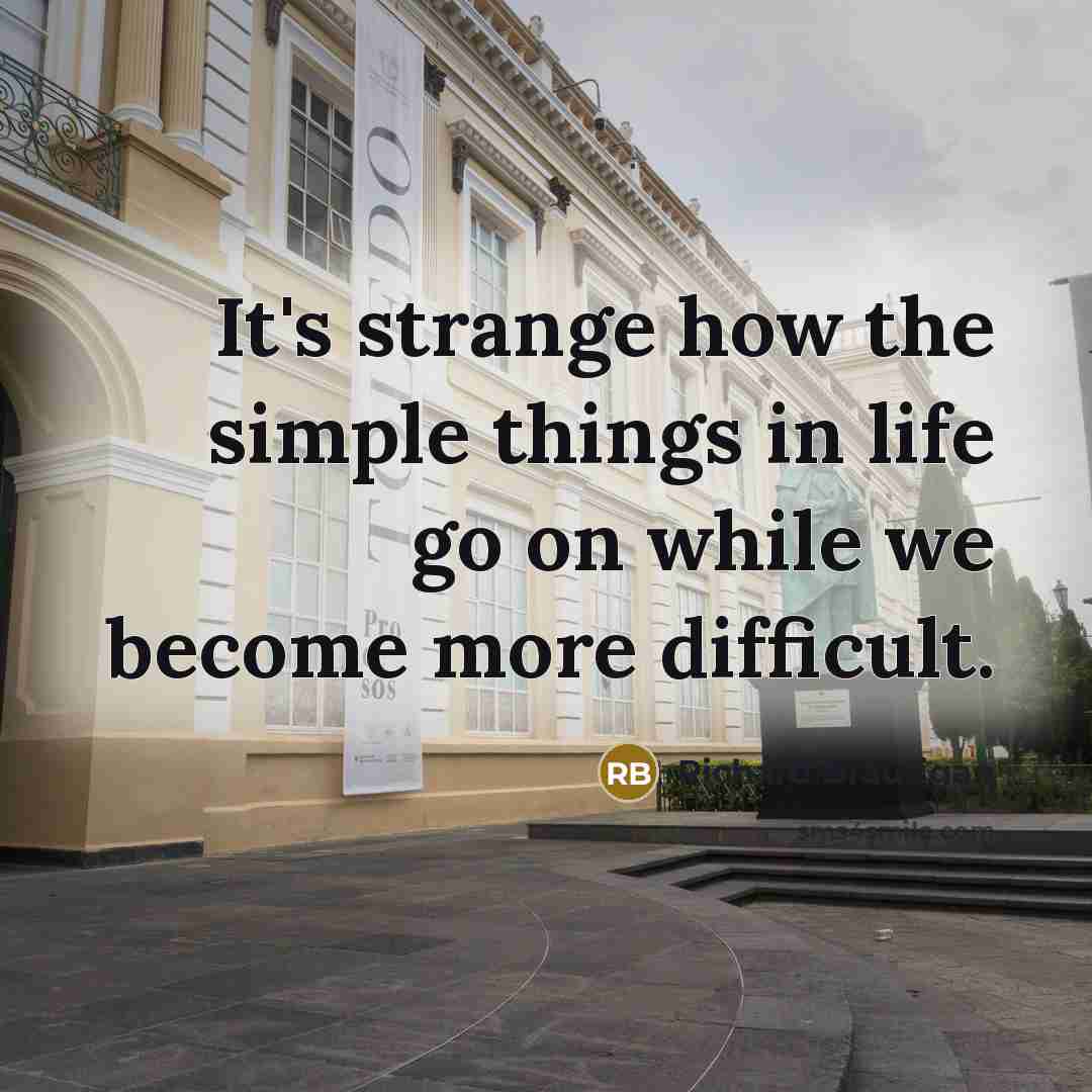 “It's strange how the simple things in life go on…” quote by Richard Brautigan