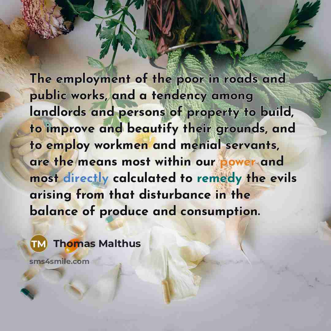 “The employment of the poor in roads and public works,…” quote by Thomas Malthus